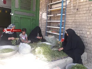 از خداحافظی با خاک تا اشتغال بانوان در محله اسلامی مهدیه شاهرود+ تصاویر