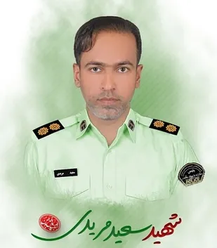 رییس پلیس مبارزه با مواد مخدر رودان به شهادت رسید