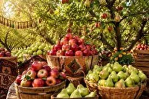 جشنواره سیب و گلابی گلزار بردسیر