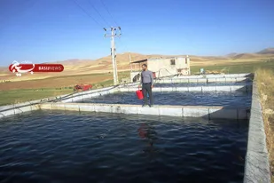 اشتغالزایی معلم اسدآبادی برای فرزندانش