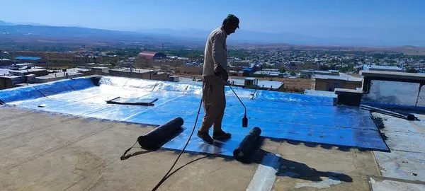 عکس ها 