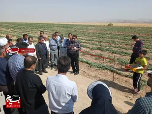 افتتاح یک طرح آبیاری قطره&zwnj;ای در شهرستان هفتکل