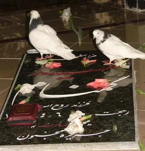 مراسم غبار روبی گلزار شهدا در دهه مبارک فجر