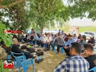 اولین جشن برداشت انگور در گتوند