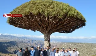 امارات پرچم رژیم صهیونیستی را در سقطری یمن برافراشت + عکس