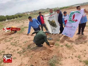 کاشت ۵۰۰ نهال توسط جهادگران بسیج سازندگی آغاجاری