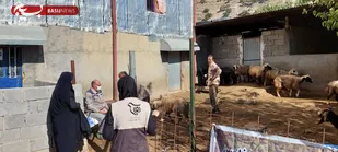 خدمات رسانی تخصصی دامپزشکی و زراعت گروه جهادی کانون بسیج جامعه کشاورزی در شهرستان باشت
