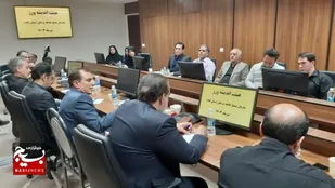 بررسی راهکارهای پیشگیری از شیوع تب دنگی در اربعین حسینی&nbsp;