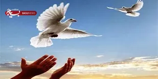 آزادی سه زندانی جرائم غیر عمد در شاهرود