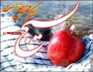 برگزاری دوره آموزش تکمیلی بسیج در درگز
