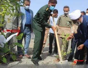 غرس نهال در ساختمان ناحیه مقاومت بسیج و سپاه قلعه گنج