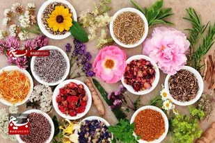 کارآفرینی نوین در ساوه/ ۵ سال زمان برای احیای سبک زندگی اسلامی با طب سنتی گذاشتم