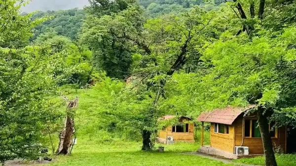 پارک جنگلی ۷۰ هکتاری؛ رؤیای سبز اردبیل