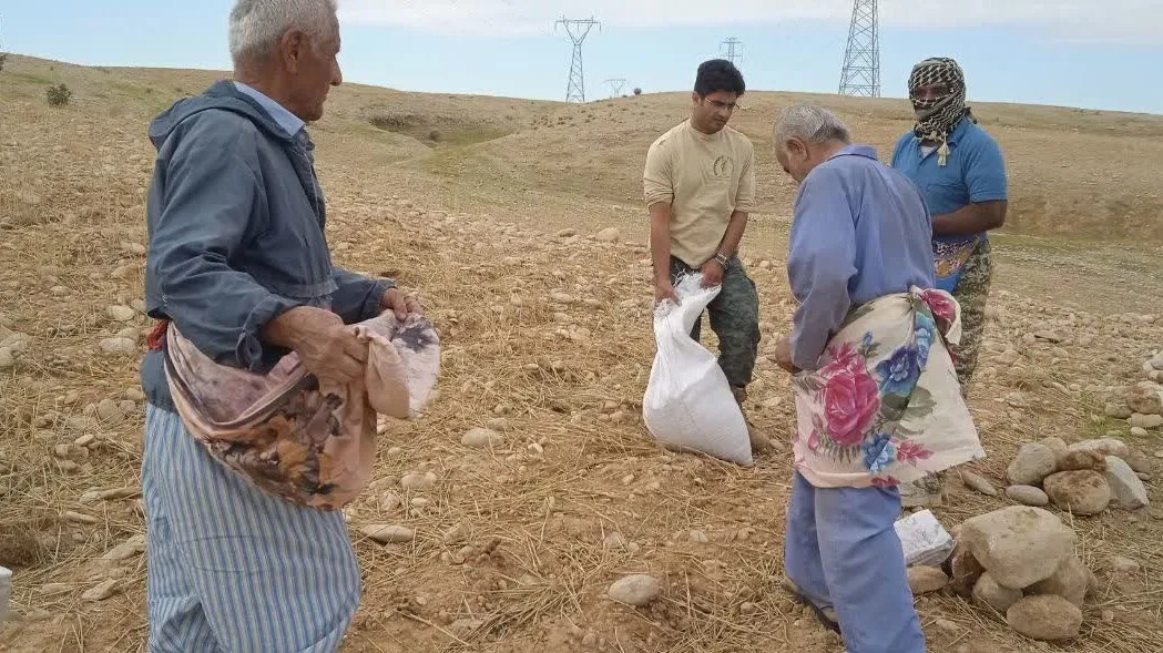 اجرای طرح «همگام با کشاورزان» از سوی بسیجیان در بهبهان