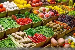 افزایش۶ برابری صادرات محصولات کشاورزی استان قزوین