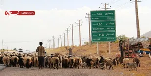 تعویق کوچ عشایر به استان اصفهان در شرایط قرمز کرونایی/ کمترین مبتلا را در جامعه عشایری داشته&zwnj;ایم