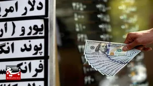 دولت پاسخگوی وضعیت نرخ ارز در کشور باشد