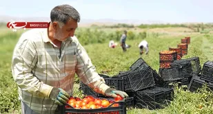 بنیاد برکت با حمایت از بنگاه&zwnj;های تولیدی190 هزار شغل ایجاد کرده است
