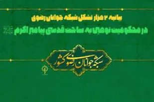 2 هزار تشکل شبکه جوانان رضوی توهین به پیامبر اکرم(ص) را محکوم کردند