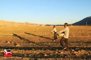 کشاورزان قبل از اقدام به کشت و زرع به فکر بیمه محصولات خود باشند
