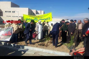 غرس نهال به همت جهادگران در تویسرکان