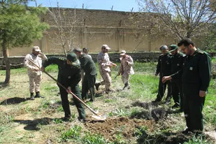 کاشت 70 اصله درخت توسط کارکنان سپاه تویسرکان