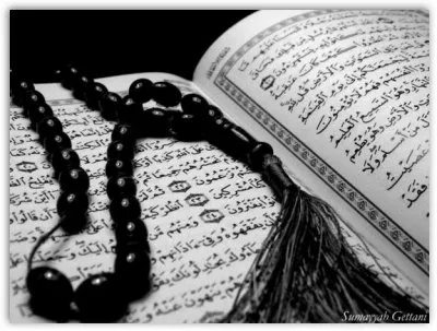 سعادت بشر در قرآن نهفته است
