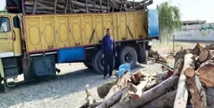 دستگیری ۴ تبعه خارجی در شاهرود به جرم قاچاق چوب/,کشف ۶ تن چوب تاغ