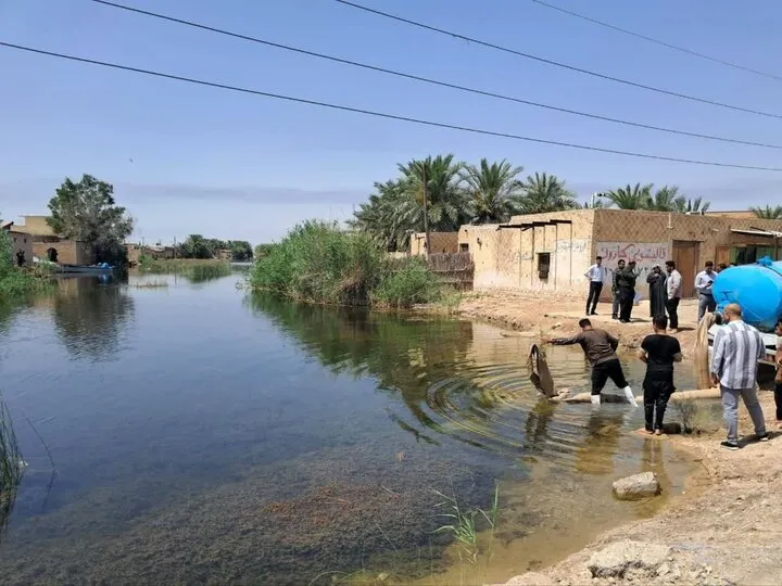 آغاز رهاسازی بچه‌ماهیان بومی در منابع آبی خوزستان