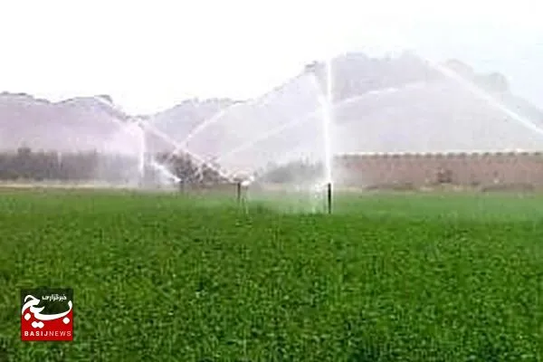 بیش از ۵ هزار هکتار از مزارع کشاورزی شهرستان تفتان به زیر کشت پاییزه رفت.