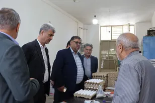 بازدید تیم گشت مشترک نظارت و تنظیم بازار از مراکز توزیع مرغ و تخم‌مرغ در دامغان
