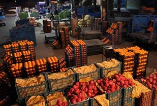 افق&zwnj;های نوین صادرات کشاورزی در کردستان