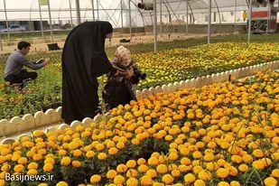 &nbsp;جشنواره عکاسی &laquo;آلما&raquo; در شهرستان بهار