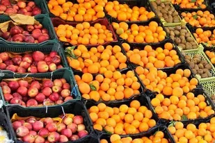 مشکلی در زمینه تامین میوه عید وجود ندارد