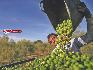 وام زندگی، موتور محرک اشتغال