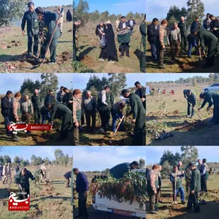 کاشت نهال با هدف حفظ منابع طبیعی از سوی سپاه ناحیه بهشهر