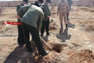 کاشت نهال در محوطه سپاه ناحیه ابهر