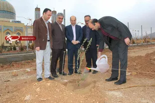 غرس 800 اصله نهال با یاد شهدا در دانشگاه آزاد اسلامی شاهرود