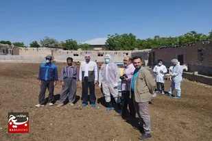اردوی جهادی دامپزشکی شهرستان سرخه انجام شد