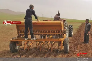 حل مشکل اشتغال روستا