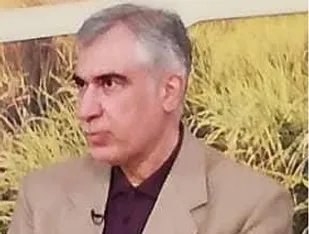 ترامپ به عنوان یک عنصر ضد ساختار حذف شد/ شبکه نفوذ امریکا در کشورهای مختلف فعال است