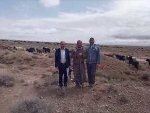 صحت سنجی اولیه آمار سرشماری دام در شاهرود+ تصاویر
