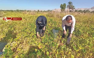 صندوق قرض الحسنه مهر امام رضا (ع) در چهارمحال و بختیاری/ نرخ بیکاری در یانچشمه صفر شد