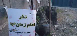 اهدا نهال سیب به نیت تعجیل ظهور امام زمان (عج) در روستای اردیان شاهرود