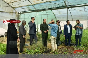 بازدید اعضای کلینیک صنعت یار بسیج از مجتمع گلخانه داران شاهرود+ تصاویر