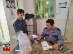 آغاز خرید تضمینی گندم در شهرستان تایباد