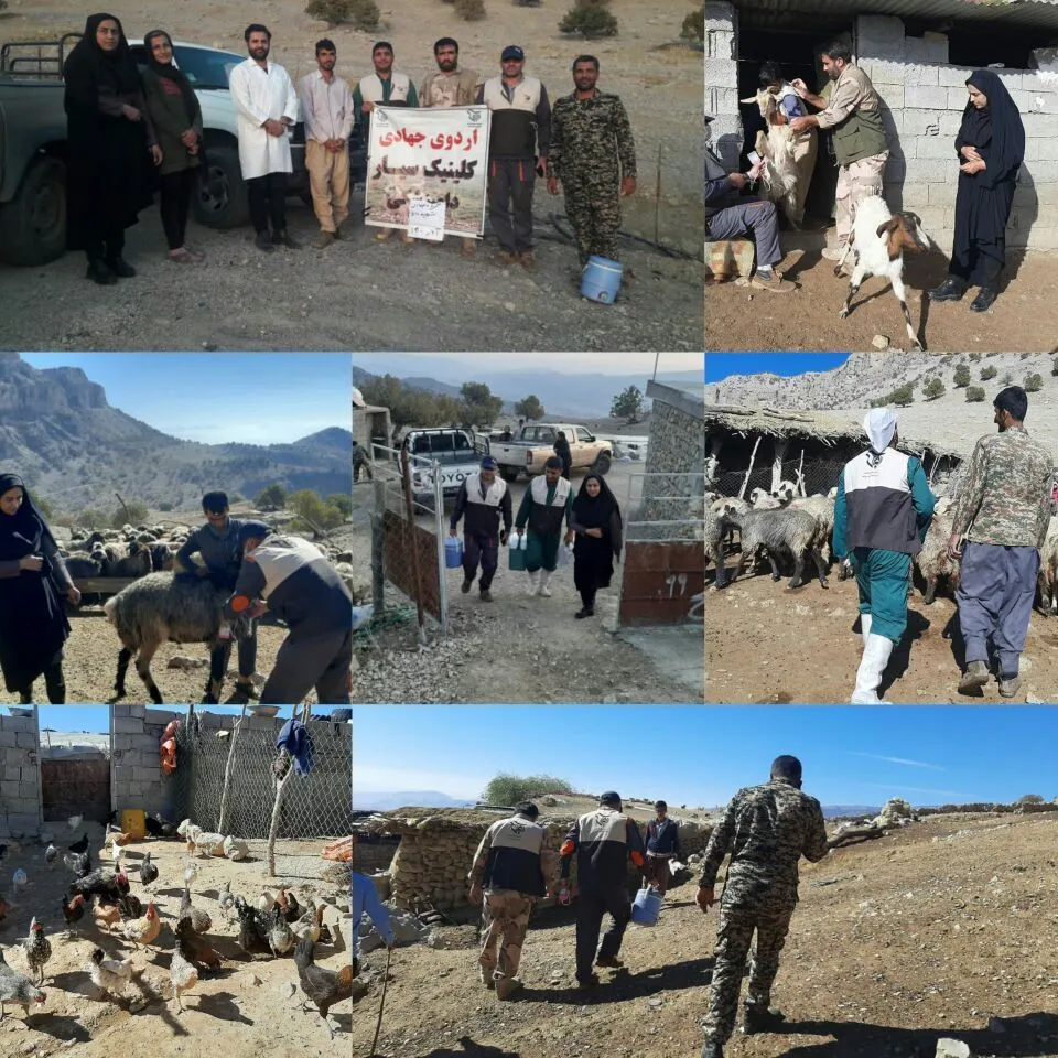 برگزاری اردوی جهادی کانون بسیج جامعه کشاورزی در باشت/ ۴۵۰۰ راس دام و سه هزار قطعه طیور واکسینه شدند