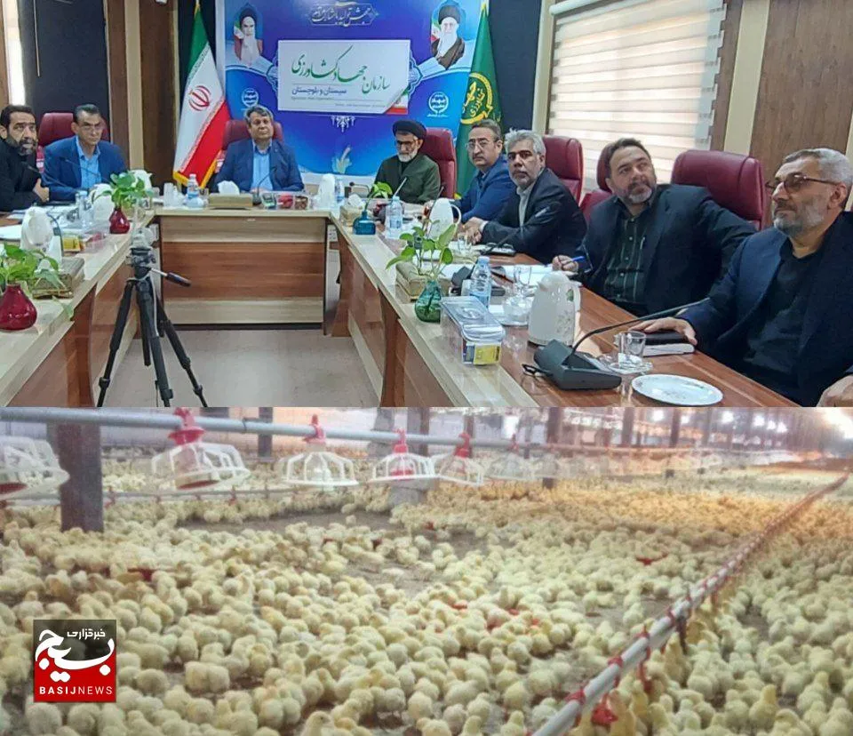 تولید بیش از ۲۲ هزار تن گوشت مرغ در سیستان وبلوچستان