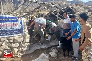 رزمایش جهادی یک روزه به مناسبت گرامیداشت سالگرد شهادت سردار سلیمانی