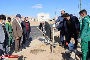 کاشت درخت به یاد شهدا در شاهرود+ تصاویر